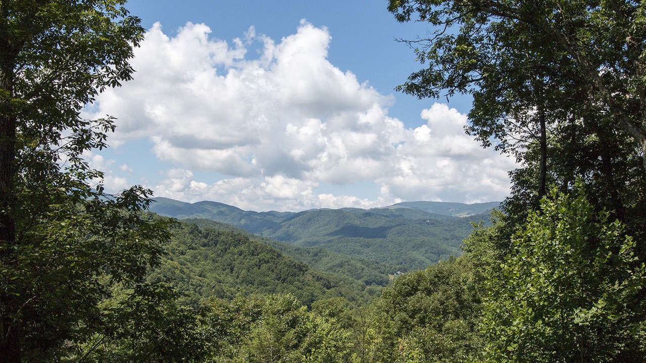Photo of Others in Boone