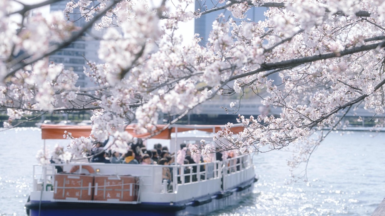 Photo of Others in Nishishinsaibashi