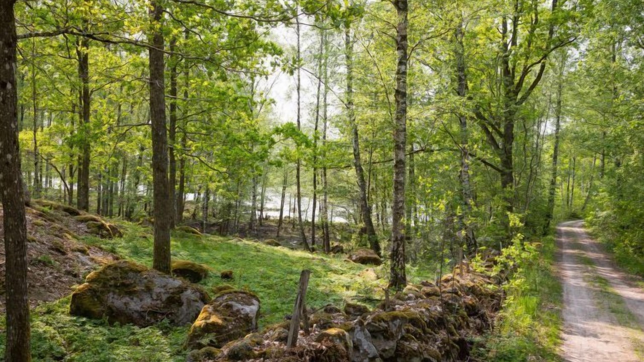 Photo of Outdoor in Tvetaryd