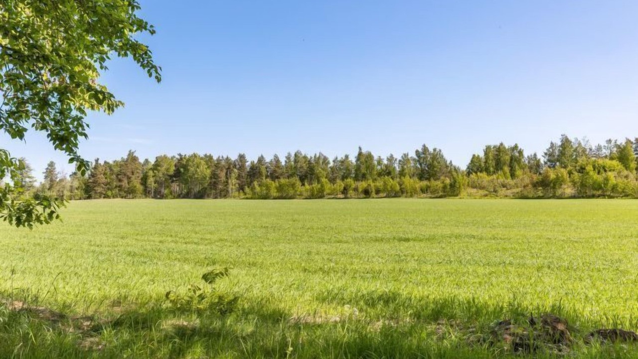 Photo of Others in Tibro
