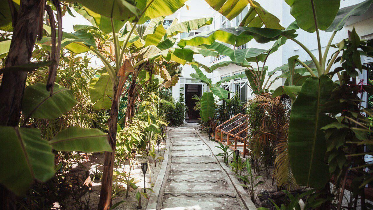 Photo of Outdoor in Dhangethi