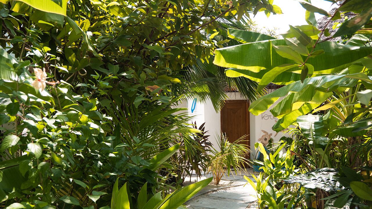Photo of Outdoor in Dhangethi
