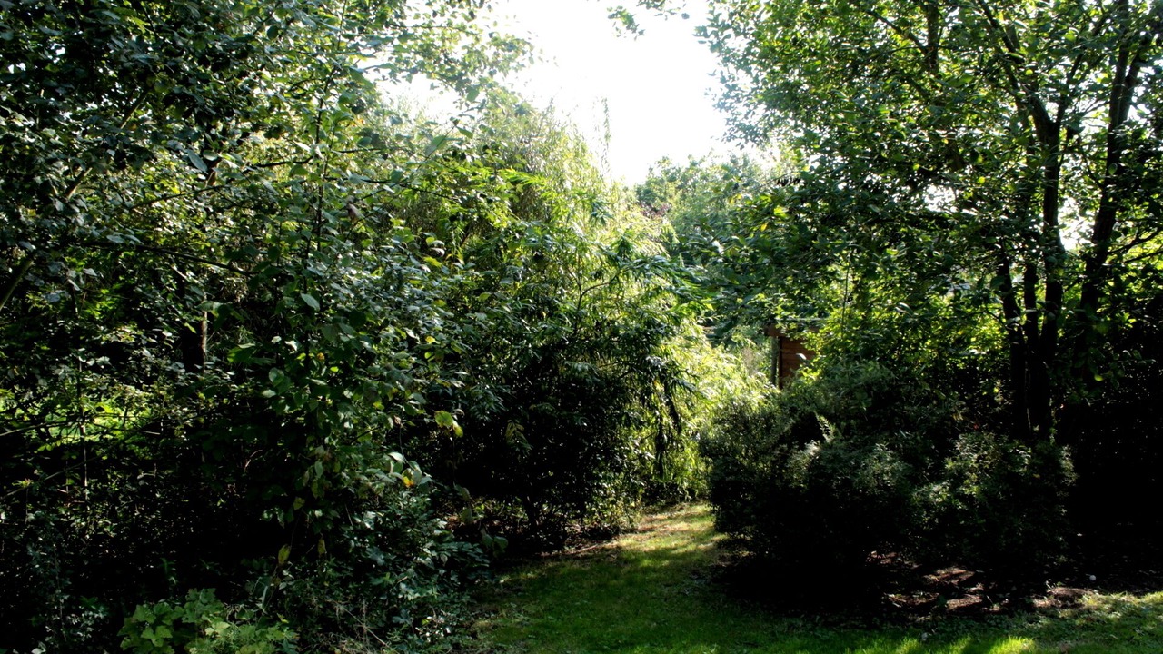 Photo of Outdoor in Reves