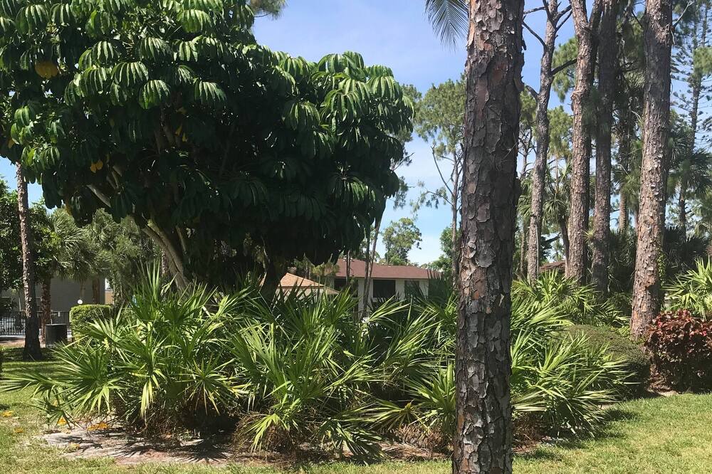 Photo of Outdoor in Kings Lake