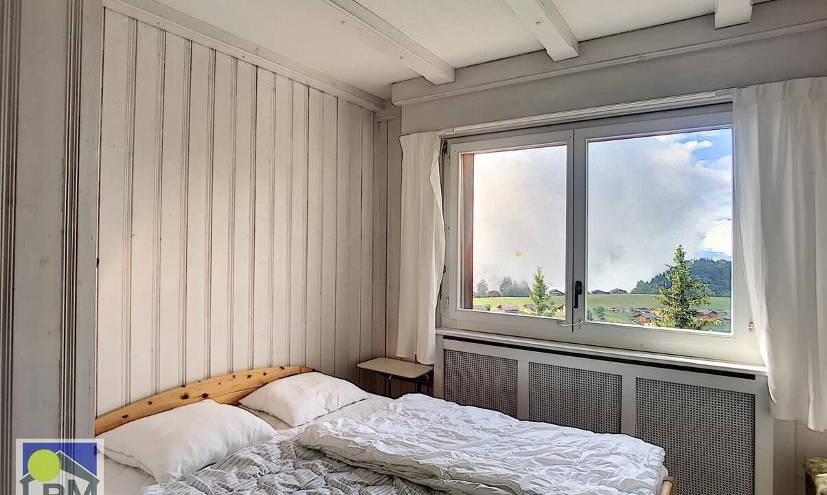 Photo of Others in Leysin