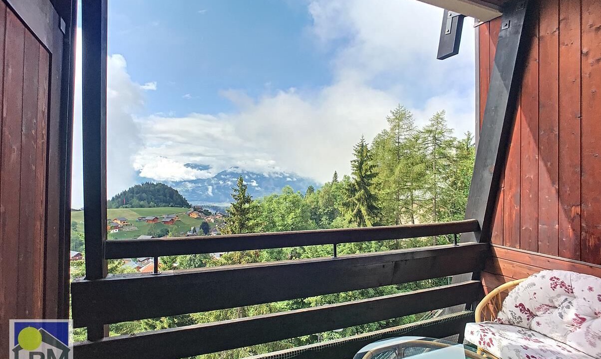 Photo of Outdoor in Leysin