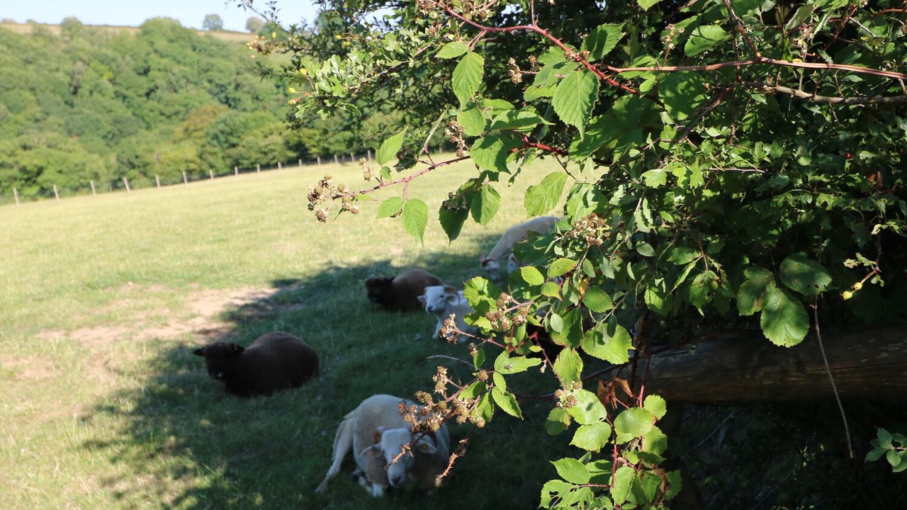 Photo of Others in Efailwen