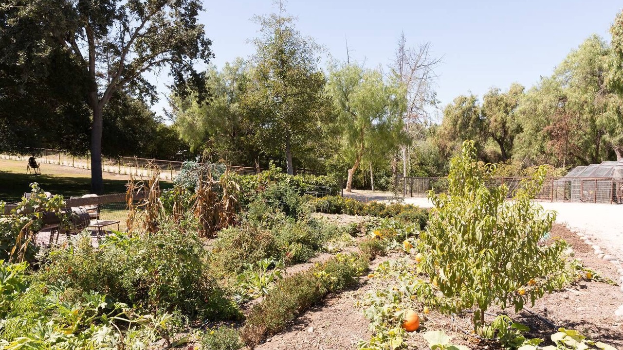 Photo of Outdoor in Santa Ynez