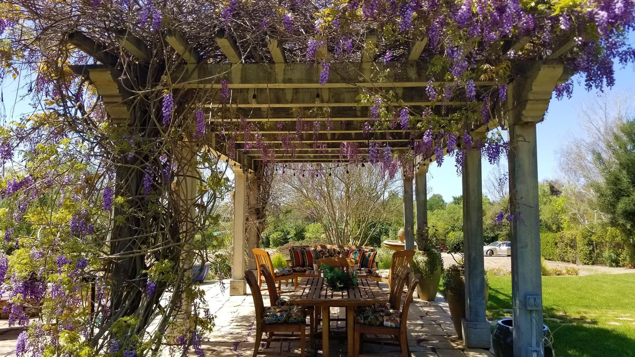 Photo of Outdoor in Santa Ynez
