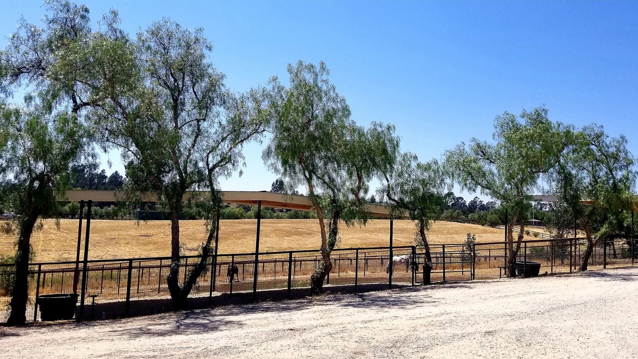Photo of Outdoor in Santa Ynez