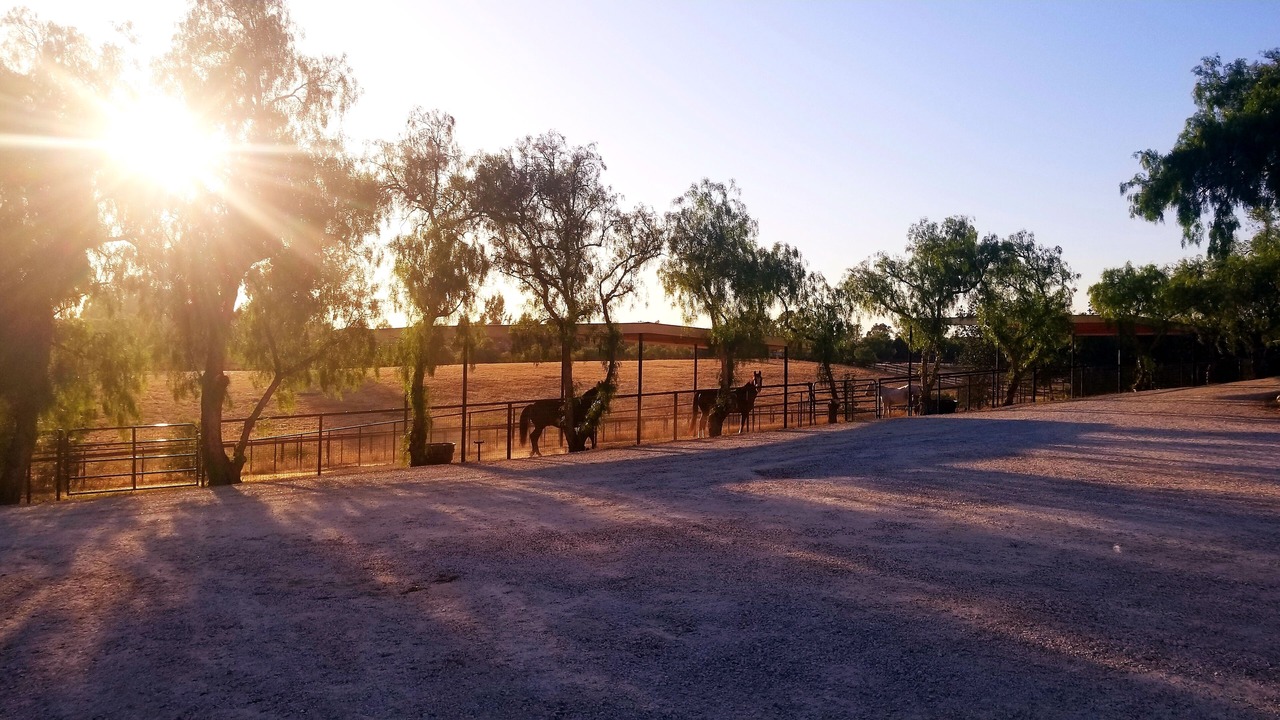 Photo of Others in Santa Ynez