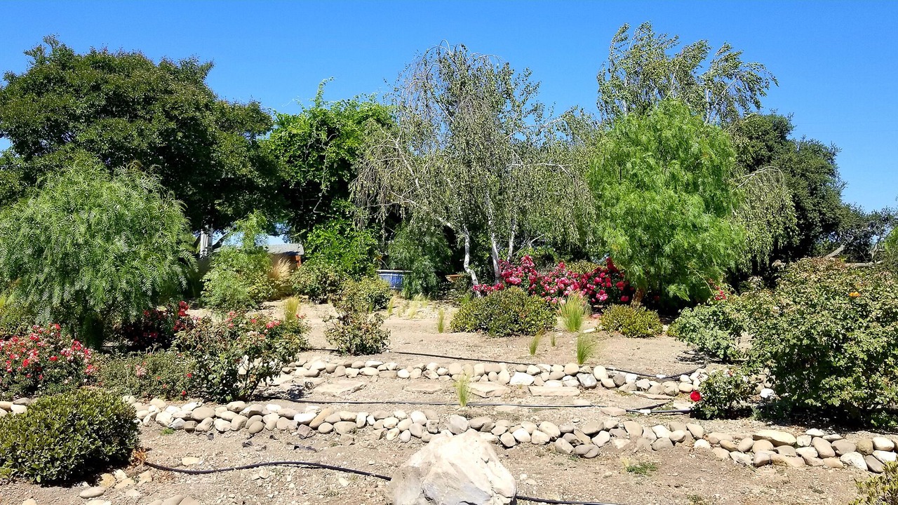 Photo of Outdoor in Santa Ynez