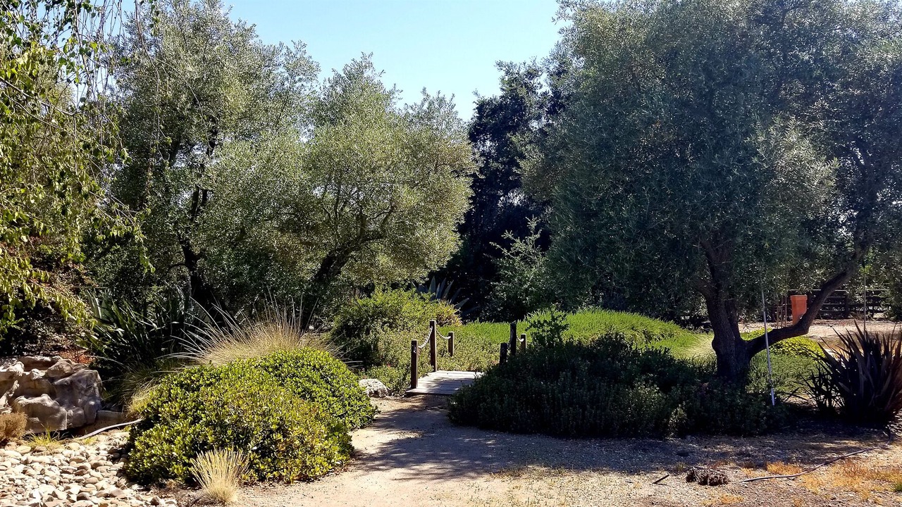 Photo of Outdoor in Santa Ynez