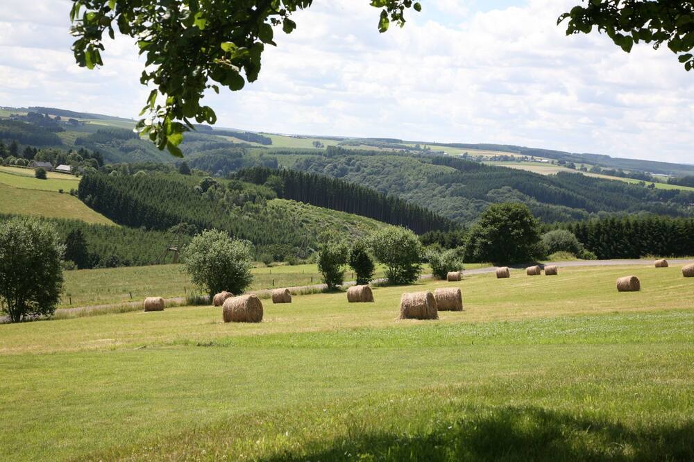 Photo of Others in Houffalize