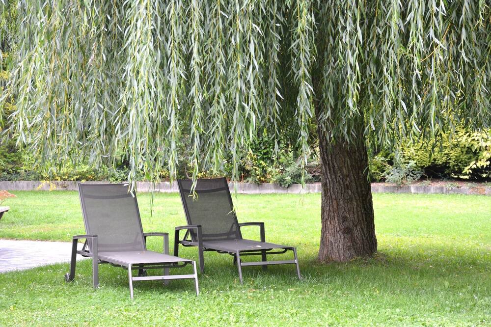 Photo of Outdoor in Houffalize