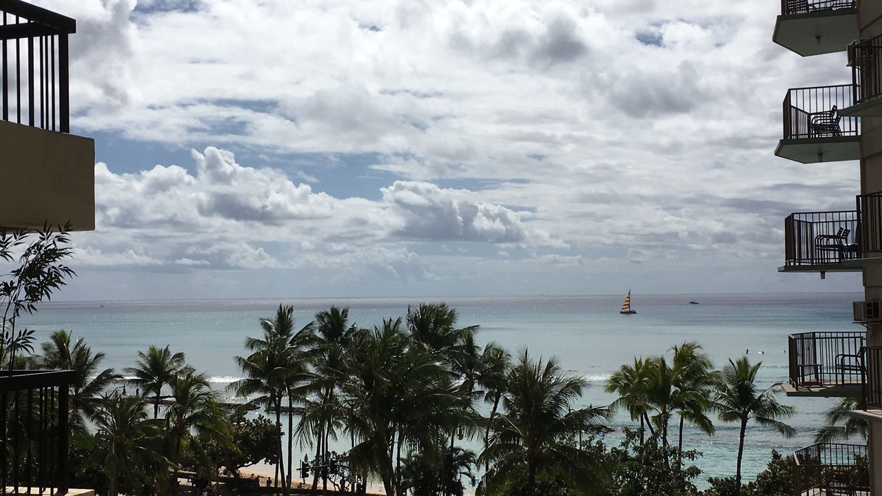 Photo of Outdoor in Waikiki