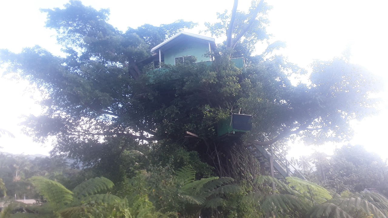 Photo of Outdoor in Lenakel