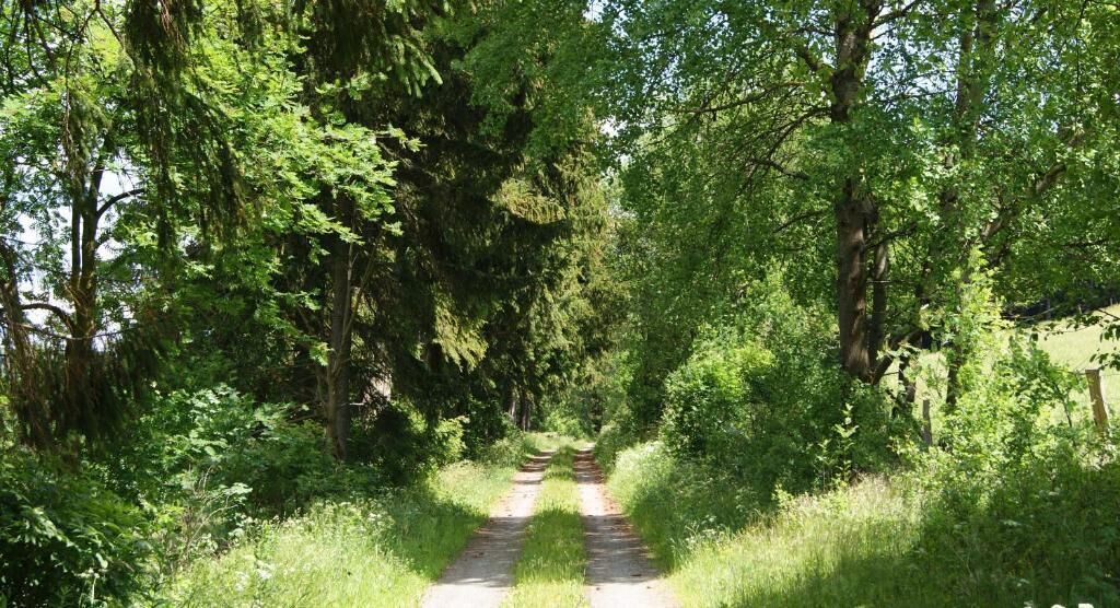 Photo of Outdoor in Elkeringhausen