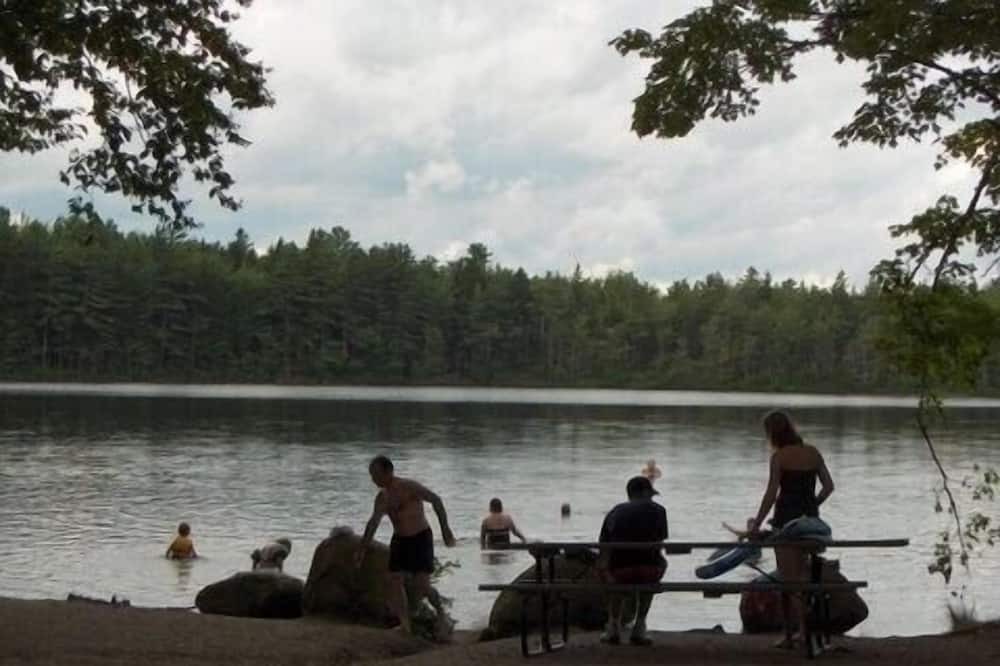 Photo of Others in Lamoine Beach