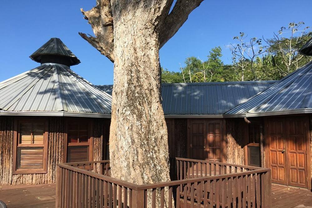 Photo of Others in Bullet Tree Falls