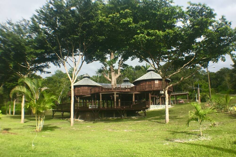 Photo of Outdoor in Bullet Tree Falls