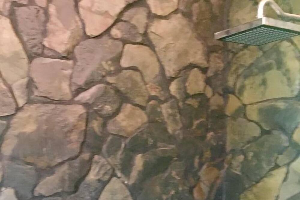 Photo of Others in Bullet Tree Falls