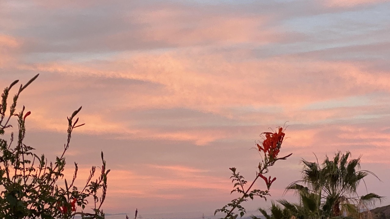 Photo of Outdoor in Escondido