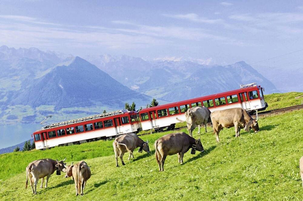 Photo of Outdoor in Vitznau