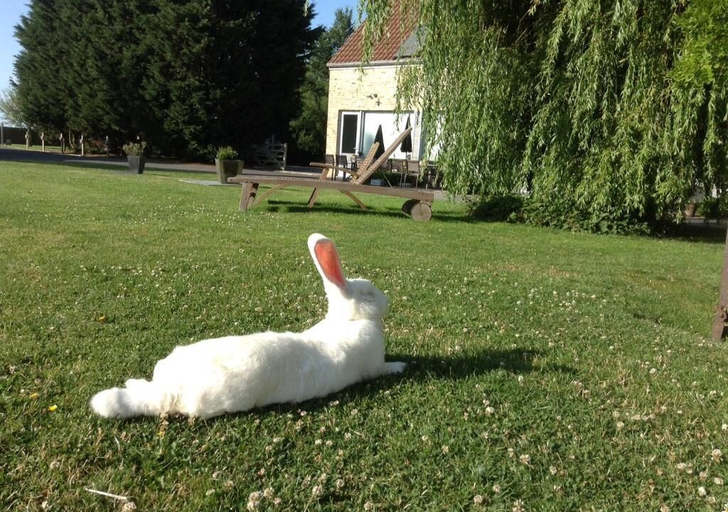 Photo of Outdoor in Eggewaartskapelle