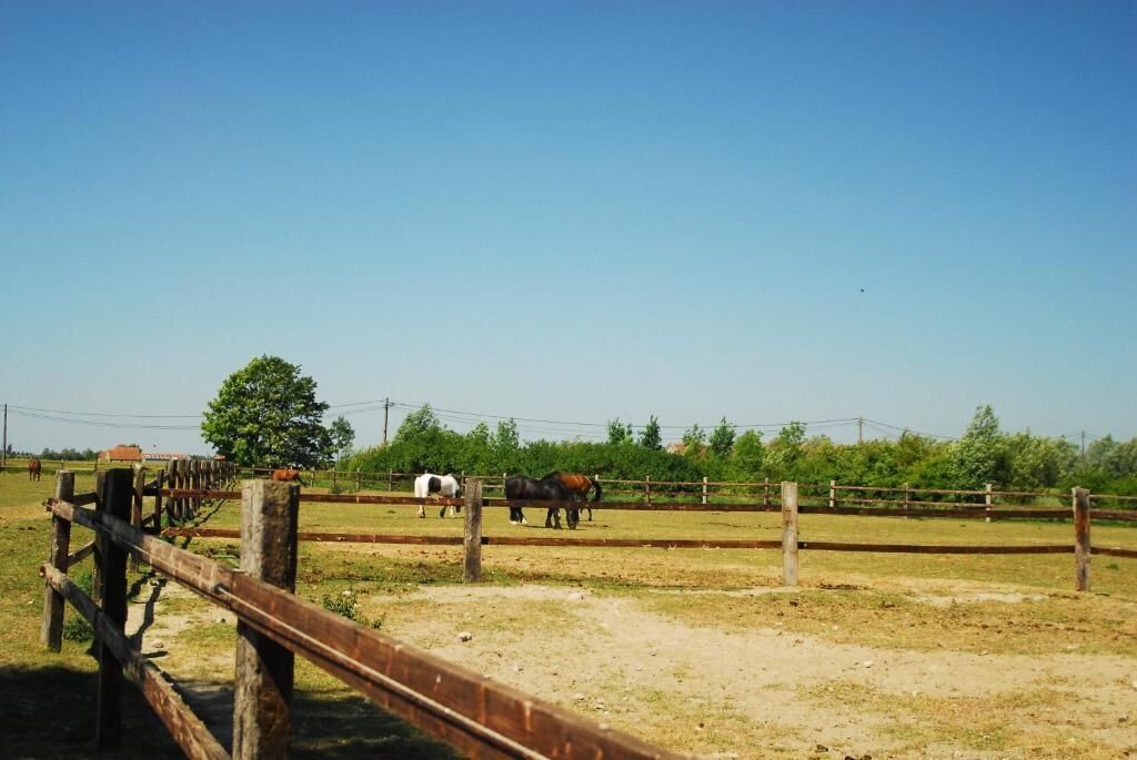 Photo of Outdoor in Eggewaartskapelle