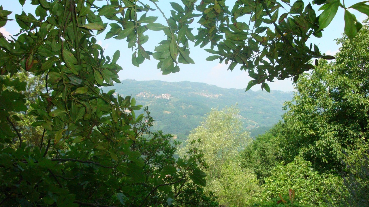 Photo of Outdoor in Bagni di Lucca