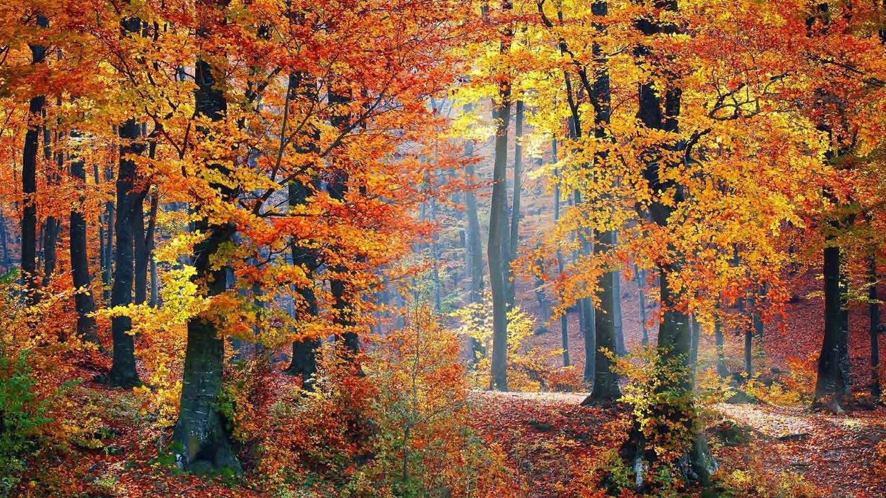 Photo of Outdoor in Nazza