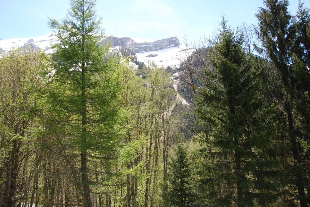 Photo of Outdoor in Ormont-Dessus
