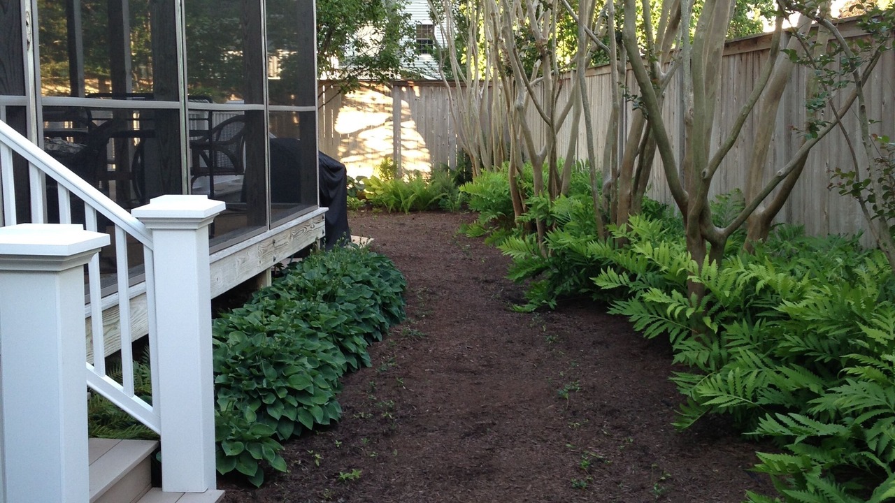 Photo of Outdoor in Dodds Addition