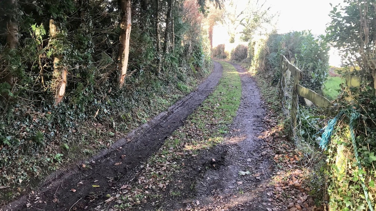 Photo of Outdoor in Symonds Yat