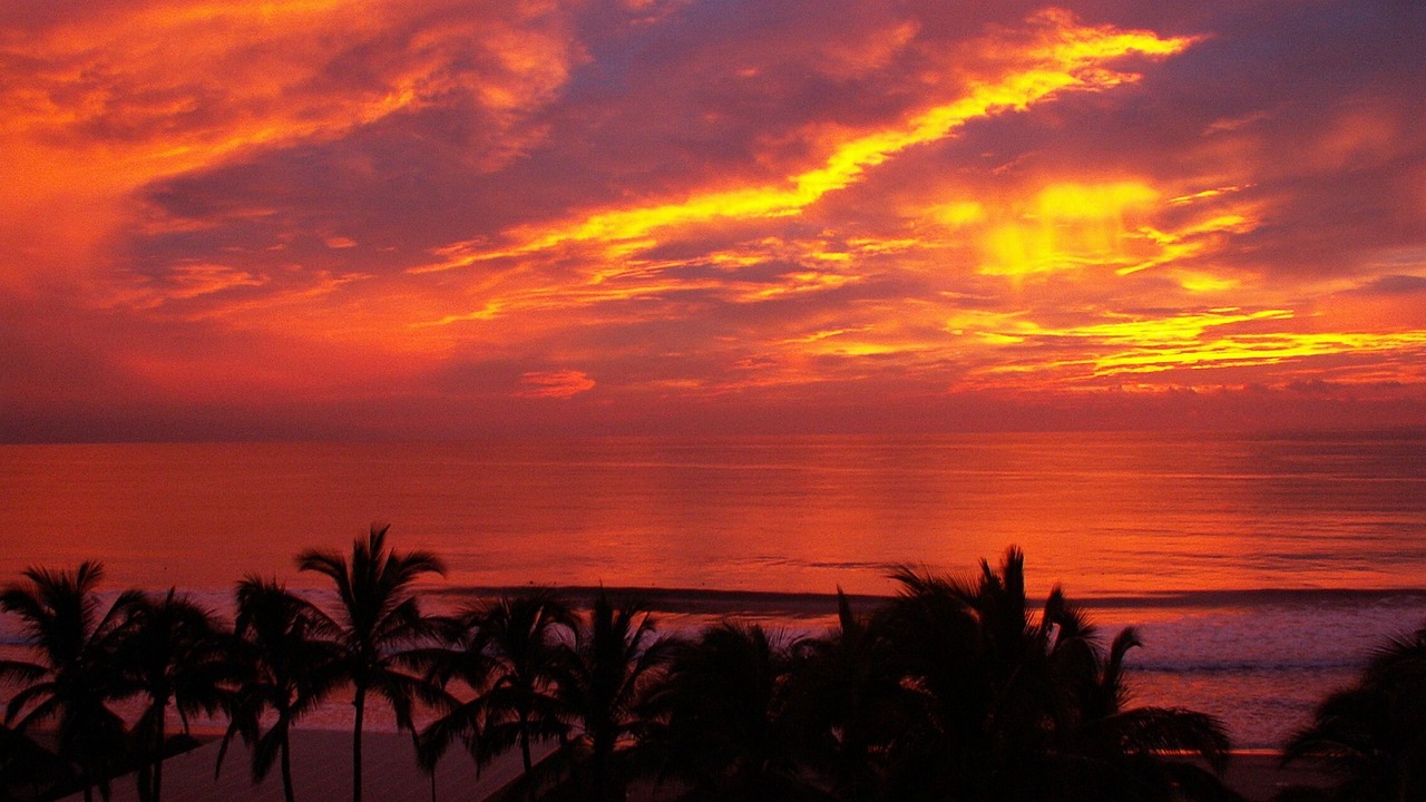 Photo of Others in Nuevo Vallarta