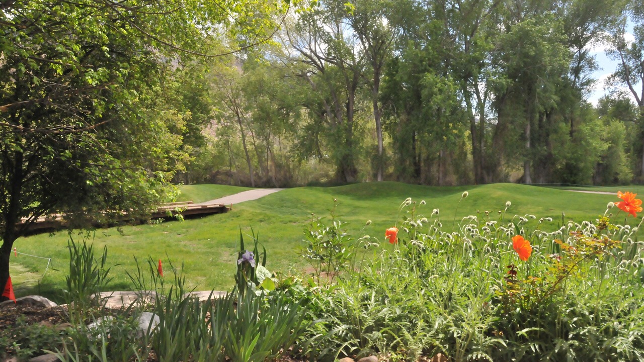 Photo of Others in Dalton Ranch