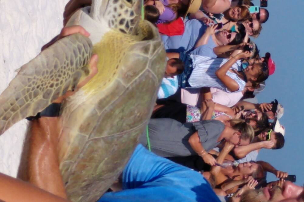Photo of Others in Villa Segunda