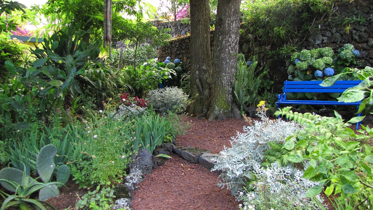 Photo of Outdoor in Livramento