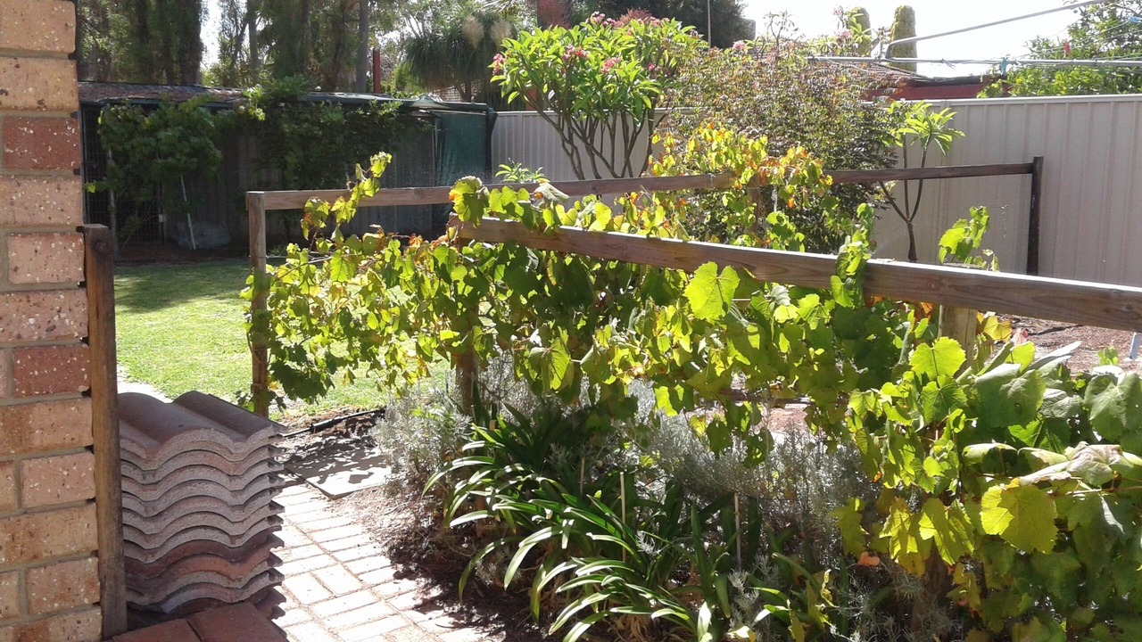 Photo of Outdoor in Thornlie