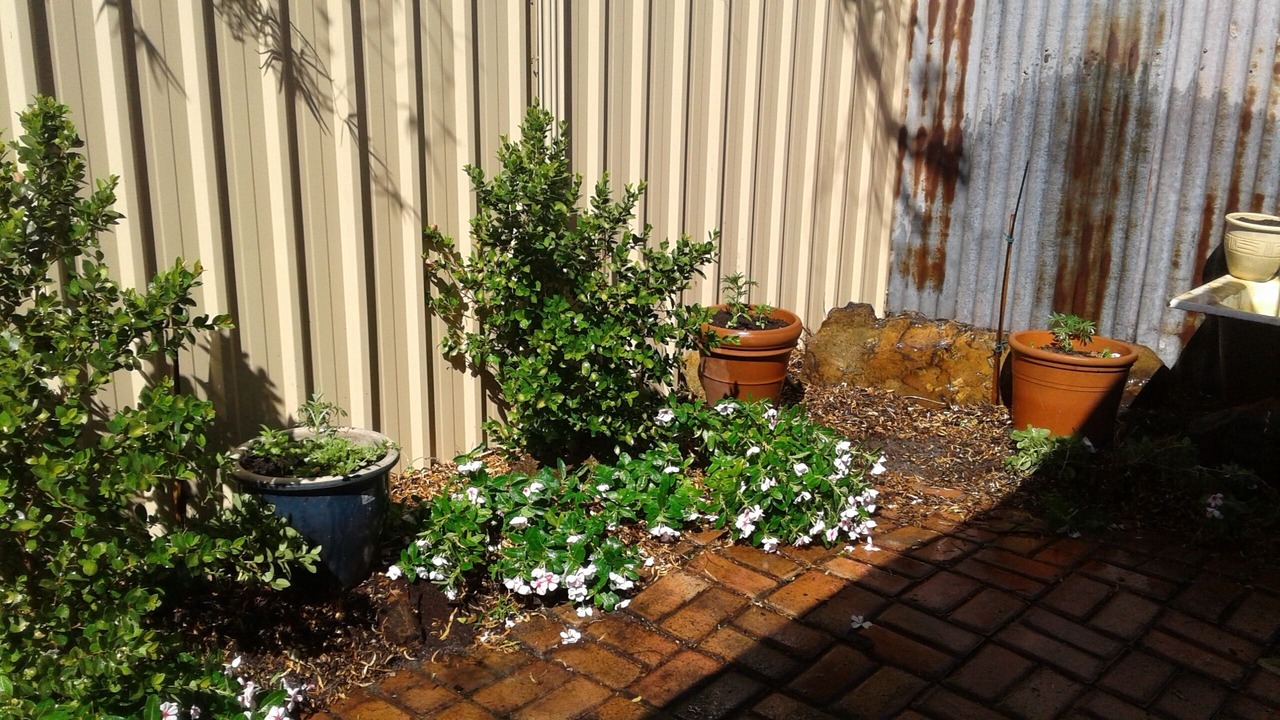Photo of Outdoor in Thornlie