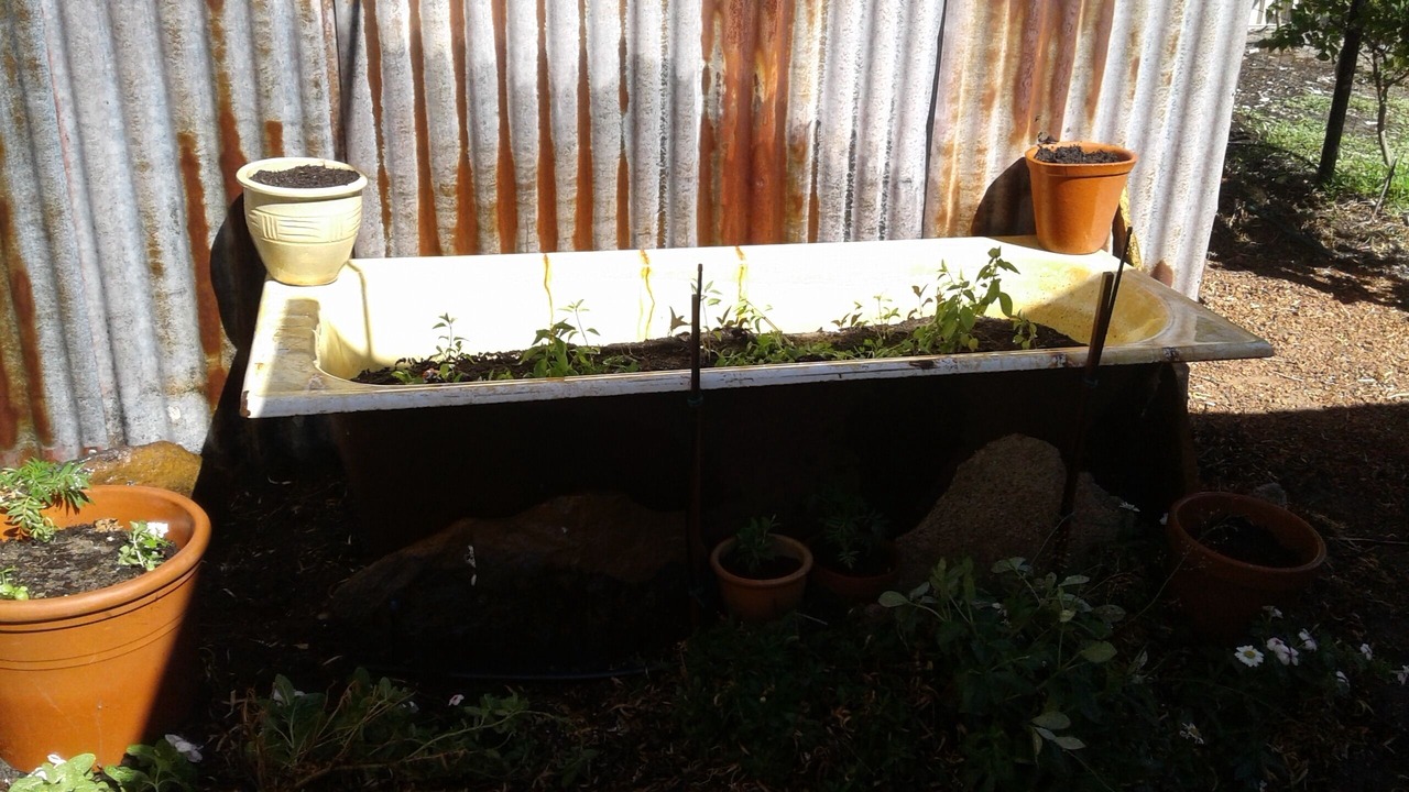 Photo of Outdoor in Thornlie