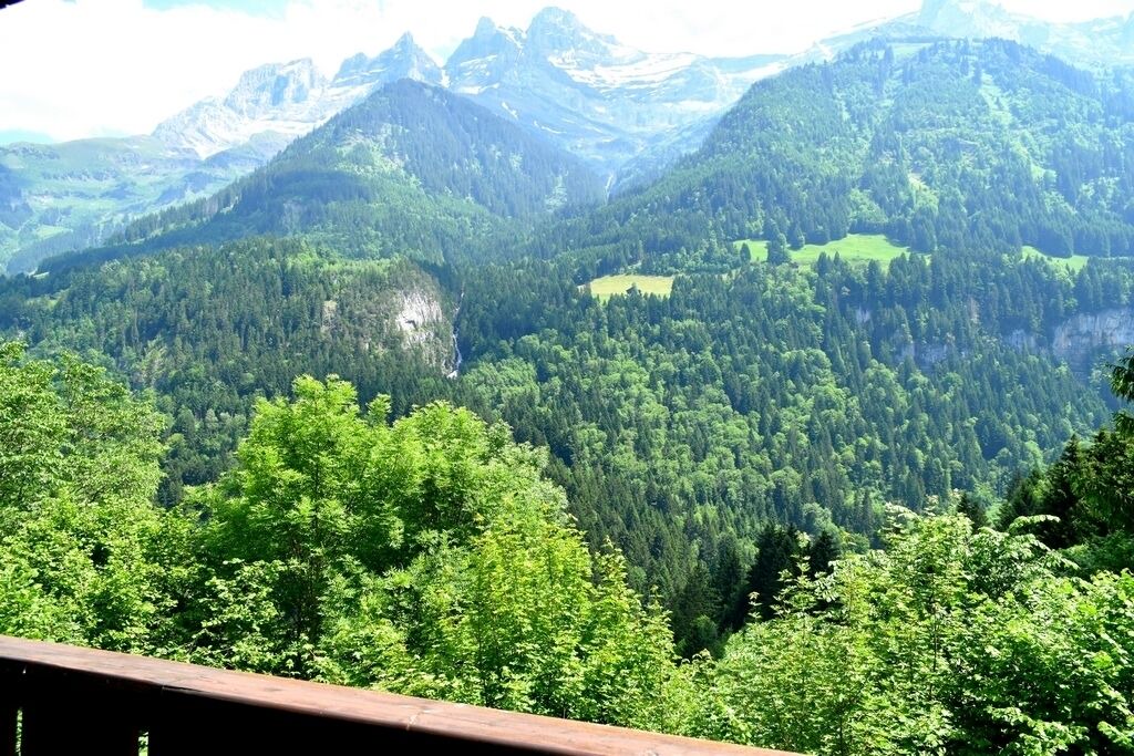 Photo of Others in Champery