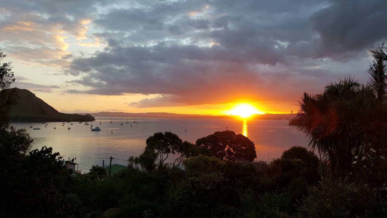 Photo of Others in Whangarei Heads