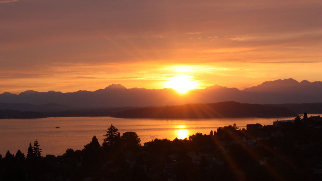 Photo of Others in Alki