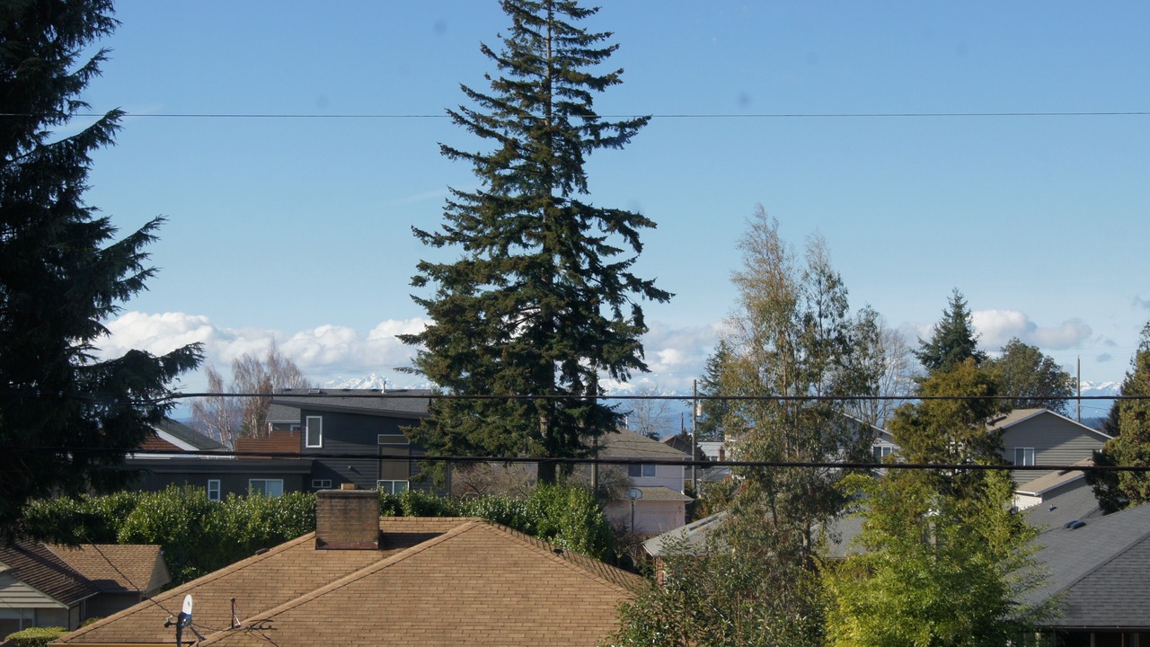 Photo of Outdoor in Alki