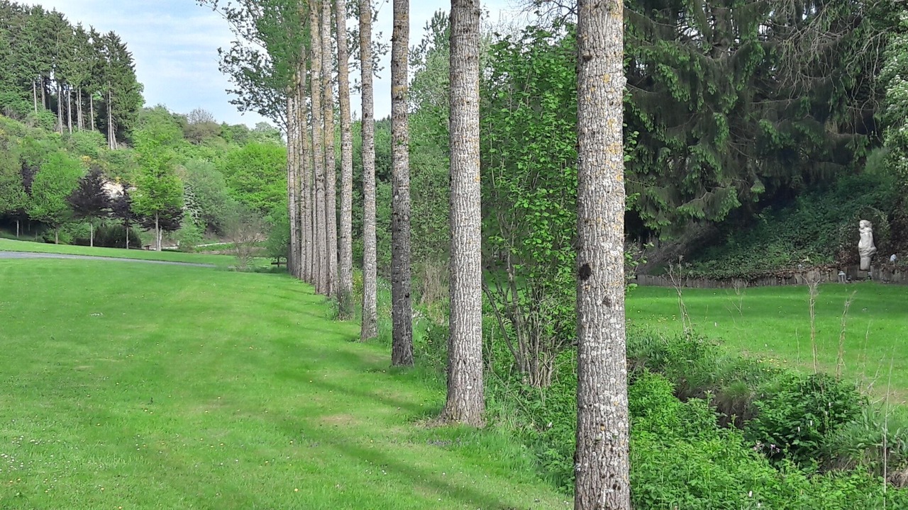 Photo of Outdoor in Fauvillers
