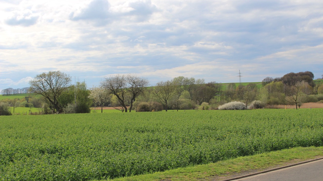 Photo of Others in Mechernich
