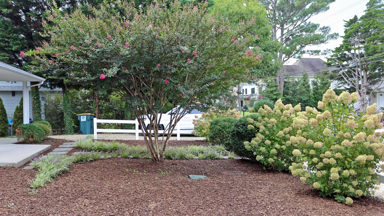 Photo of Outdoor in Dodds Addition