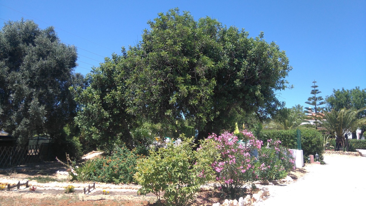 Photo of Outdoor in Alpouvar